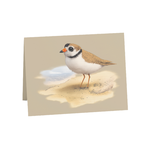 Coastal Plover Greeting Cards, 10ct