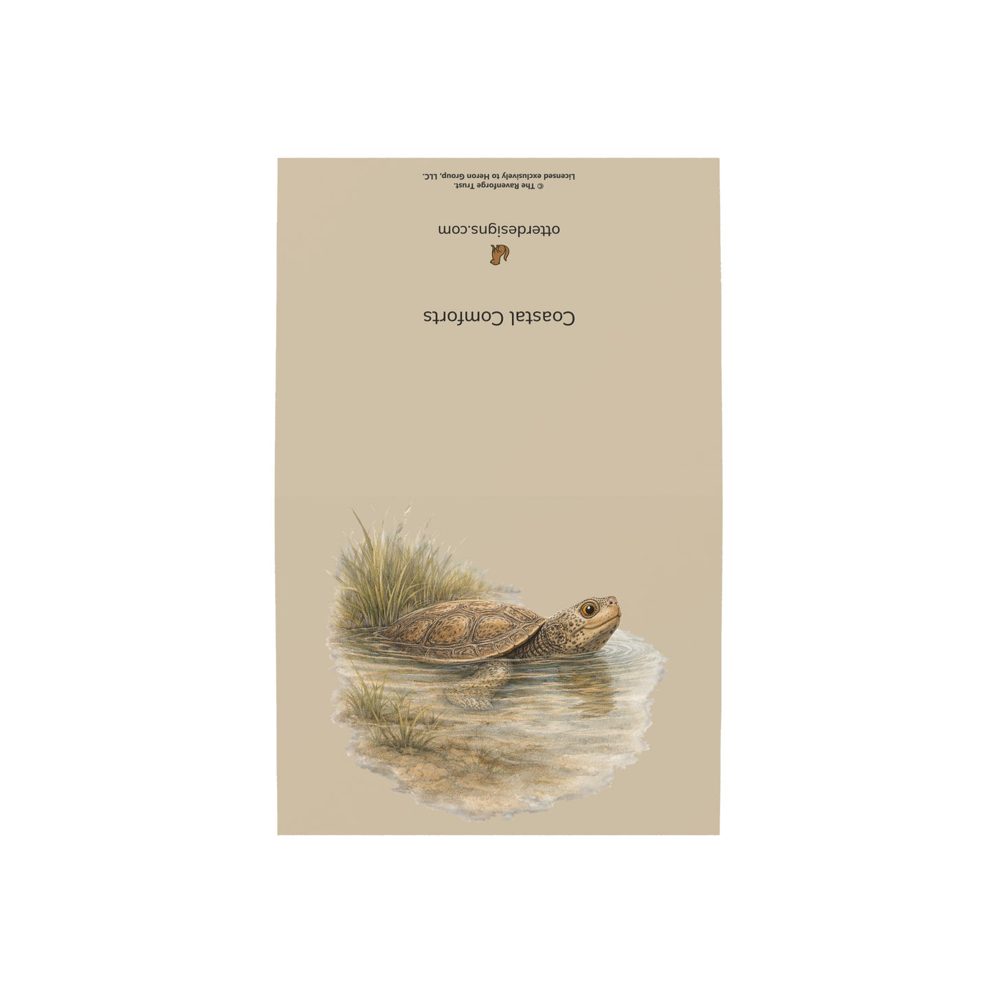 Coastal Terrapin Greeting Cards, 10ct